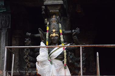 Meenakshi Temple, Madurai,_DSC_7955_H600